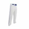 Easton Adult Rival 2 Piped Baseball Pants - White Royal